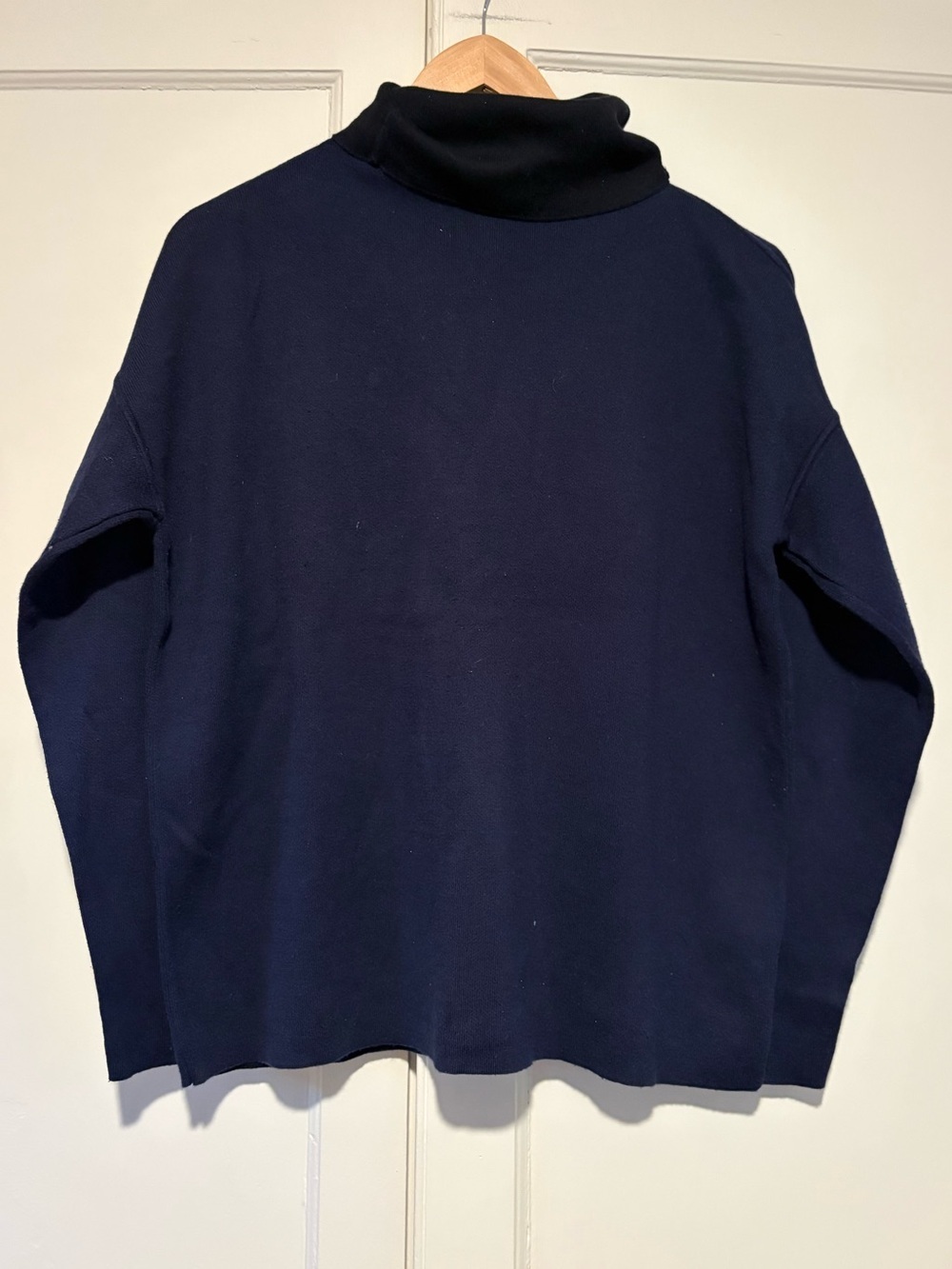 Everlane Navy & Black Turtleneck Sweater